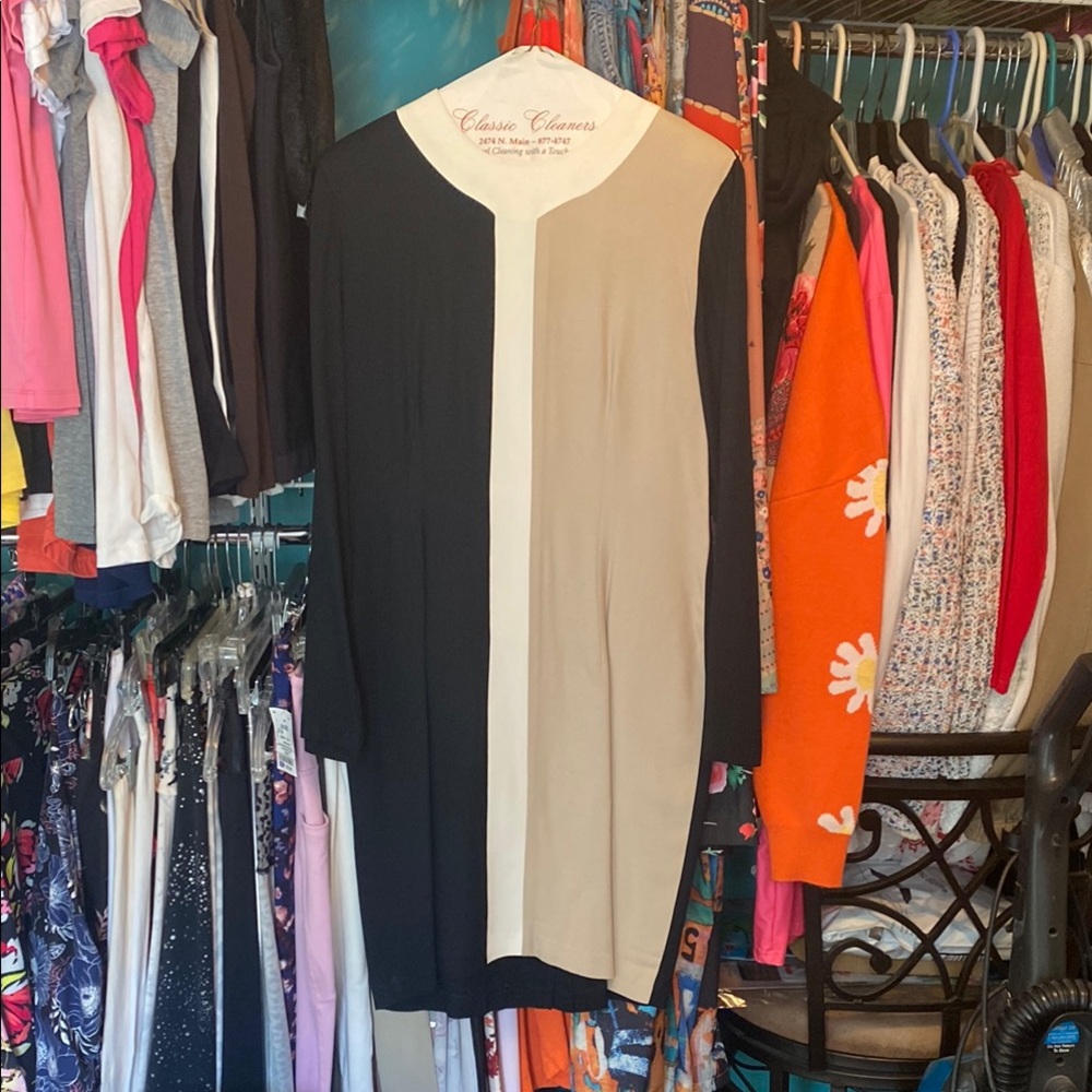 Black and Tan Dress